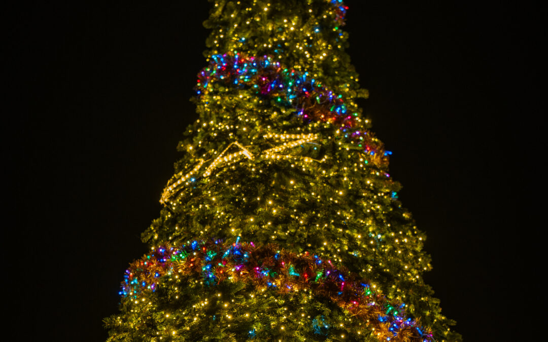 L’Albero della Pace illumina Piazza del Campidoglio